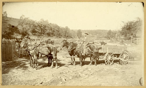 Four-horse wagon team, late 1800s or early 1900s. Rockbridge County, Virginia. 